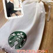 ヒメ日記 2024/12/12 17:31 投稿 片桐　なお 柏OL委員会