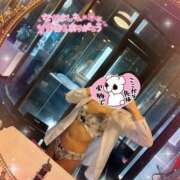 ヒメ日記 2024/12/16 16:20 投稿 片桐　なお 柏OL委員会