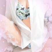 ヒメ日記 2025/01/28 09:01 投稿 片桐　なお 柏OL委員会