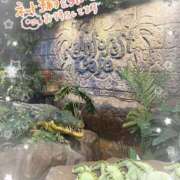 ヒメ日記 2025/01/28 16:10 投稿 片桐　なお 柏OL委員会