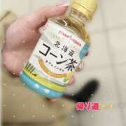 ヒメ日記 2025/02/04 21:50 投稿 片桐　なお 柏OL委員会