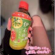 ヒメ日記 2025/02/10 14:10 投稿 片桐　なお 柏OL委員会