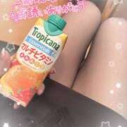 ヒメ日記 2025/02/17 22:40 投稿 片桐　なお 柏OL委員会
