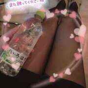 ヒメ日記 2025/02/17 22:51 投稿 片桐　なお 柏OL委員会