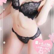 ヒメ日記 2025/03/13 00:00 投稿 片桐　なお 柏OL委員会