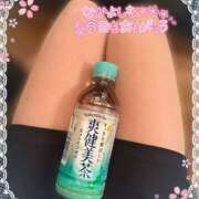 ヒメ日記 2025/03/13 16:40 投稿 片桐　なお 柏OL委員会