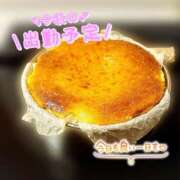 ヒメ日記 2025/04/06 10:31 投稿 片桐　なお 柏OL委員会