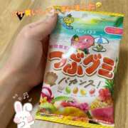 ヒメ日記 2025/04/10 14:20 投稿 片桐　なお 柏OL委員会