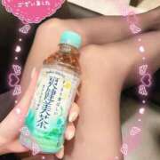 ヒメ日記 2025/04/17 18:01 投稿 片桐　なお 柏OL委員会