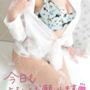 ヒメ日記 2025/05/01 09:50 投稿 片桐　なお 柏OL委員会