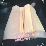 ヒメ日記 2025/05/01 11:10 投稿 片桐　なお 柏OL委員会