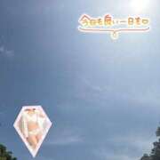 ヒメ日記 2025/05/08 10:01 投稿 片桐　なお 柏OL委員会