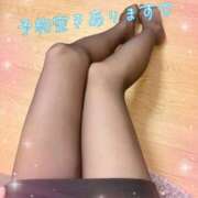 ヒメ日記 2025/05/09 10:40 投稿 片桐　なお 柏OL委員会