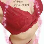 ヒメ日記 2025/05/21 23:31 投稿 片桐　なお 柏OL委員会