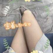 ヒメ日記 2025/05/22 09:50 投稿 片桐　なお 柏OL委員会