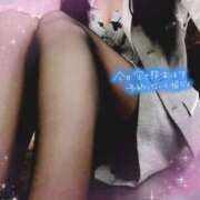 ヒメ日記 2025/05/22 12:21 投稿 片桐　なお 柏OL委員会