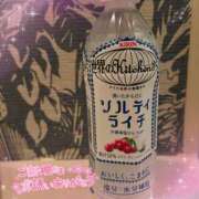 ヒメ日記 2025/06/30 16:10 投稿 片桐　なお 柏OL委員会