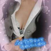 ヒメ日記 2025/07/10 10:36 投稿 片桐　なお 柏OL委員会