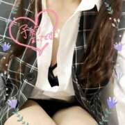 ヒメ日記 2025/07/14 10:10 投稿 片桐　なお 柏OL委員会