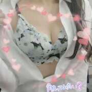 ヒメ日記 2025/08/27 11:00 投稿 片桐　なお 柏OL委員会