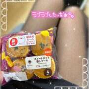 ヒメ日記 2025/09/19 16:20 投稿 片桐　なお 柏OL委員会