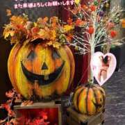 ヒメ日記 2025/10/03 09:50 投稿 片桐　なお 柏OL委員会