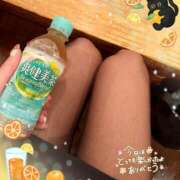 ヒメ日記 2025/10/06 13:10 投稿 片桐　なお 柏OL委員会