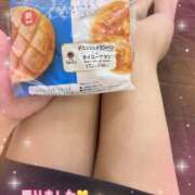 ヒメ日記 2025/10/10 18:20 投稿 片桐　なお 柏OL委員会