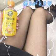 ヒメ日記 2025/10/20 15:50 投稿 片桐　なお 柏OL委員会