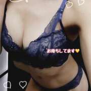 ヒメ日記 2025/11/09 23:20 投稿 片桐　なお 柏OL委員会