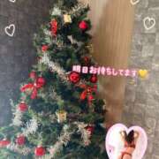 ヒメ日記 2025/11/20 11:20 投稿 片桐　なお 柏OL委員会