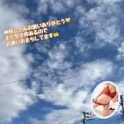 ヒメ日記 2025/12/16 10:50 投稿 片桐　なお 柏OL委員会