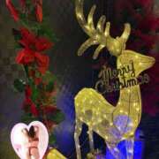 ヒメ日記 2025/12/24 11:40 投稿 片桐　なお 柏OL委員会