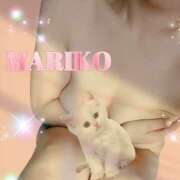 ヒメ日記 2025/03/01 11:40 投稿 まりこ ぴんくはうす