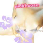 ヒメ日記 2025/06/26 17:58 投稿 まりこ ぴんくはうす