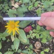 ヒメ日記 2025/09/08 12:00 投稿 まりこ ぴんくはうす