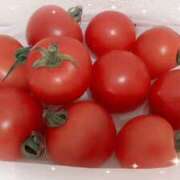 ヒメ日記 2025/07/09 14:01 投稿 なお エンジェルシリカ