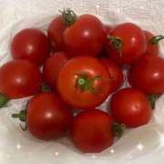 ヒメ日記 2025/07/24 14:52 投稿 なお エンジェルシリカ