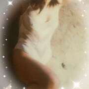 ヒメ日記 2025/09/29 08:16 投稿 なお エンジェルシリカ