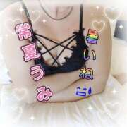 ヒメ日記 2025/06/29 17:30 投稿 うみ【癒し系】 フィーリング