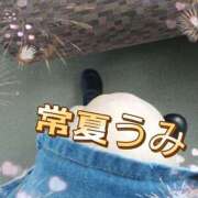 ヒメ日記 2025/07/25 17:40 投稿 うみ【癒し系】 フィーリング