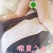 ヒメ日記 2025/11/15 17:20 投稿 うみ【癒し系】 フィーリング