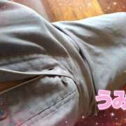 ヒメ日記 2026/02/24 12:00 投稿 うみ【癒し系】 フィーリング