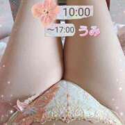 ヒメ日記 2026/03/08 09:50 投稿 うみ【癒し系】 フィーリング