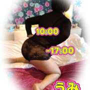 ヒメ日記 2026/03/27 09:50 投稿 うみ【癒し系】 フィーリング