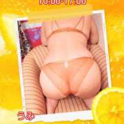 ヒメ日記 2026/09/18 09:50 投稿 うみ【癒し系】 フィーリング
