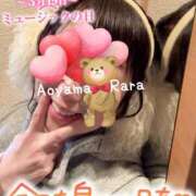 ヒメ日記 2025/03/19 07:20 投稿 青山らら 五十路マダムエクスプレス横浜店（カサブランカグループ）