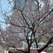 ヒメ日記 2025/03/25 18:54 投稿 青山らら 五十路マダムエクスプレス横浜店（カサブランカグループ）