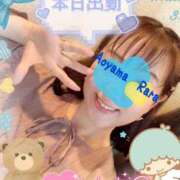 ヒメ日記 2025/04/12 11:02 投稿 青山らら 五十路マダムエクスプレス横浜店（カサブランカグループ）