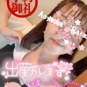 ヒメ日記 2025/04/19 14:00 投稿 青山らら 五十路マダムエクスプレス横浜店（カサブランカグループ）